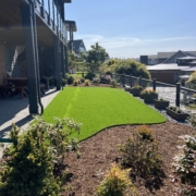 Proscapes small space turf