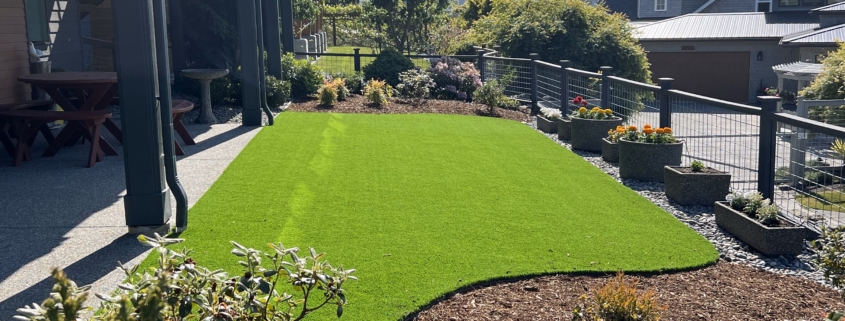 Proscapes small space turf