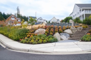 landscaping design, installation, and maintenance by ProScapes